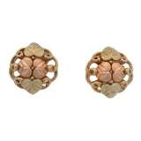 Vintage Solid 10kt Tri-Tone Black Hills Gold Leaf and Vine Stud Earrings