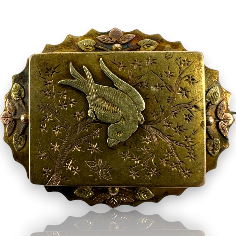 Victorian 14kt Yellow, Rose, and Green Gold Mourning Pin with Swallow and Original Frame and Pinback