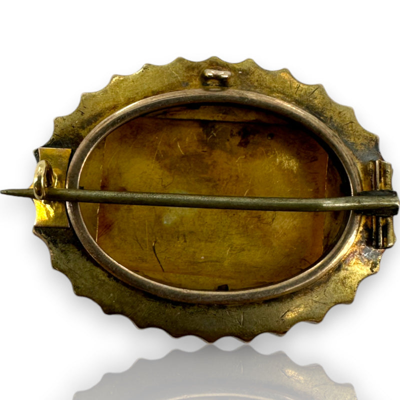 Victorian 14kt Yellow, Rose, and Green Gold Mourning Pin with Swallow and Original Frame and Pinback