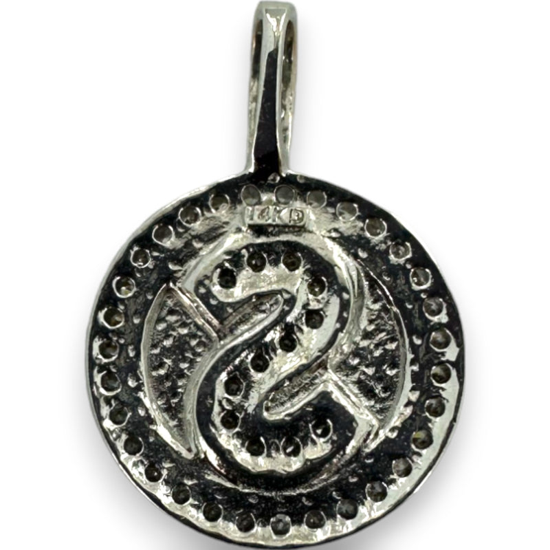 Letter "S" Cubic Zirconia Alphabet Disk Pendant Charm 14kt White Gold Rhodium Plated