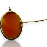Late Victorian 14kt Yellow Gold and Conch Shell Detailed Lady Convertible Brooch to Pendant Cameo