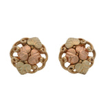 Vintage Solid 10kt Tri-Tone Black Hills Gold Leaf and Vine Stud Earrings
