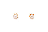 Cultured Pearl Stud Earrings Set in 14k 585 Yellow Gold Push back