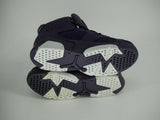 Nike Jordan 6 Retro GP Little Kid (PS) Sz 1y Purple 543389-509